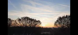 Jacquelien 01 Uitzicht gister namiddag